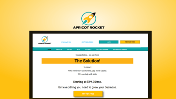 ApricotRocket, Las pequeñas empresas luchan por ganar suficientes clientes y capital.
